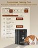 Balimo Futterautomat Katze 3L, Katzenfutter Automat con timer programmato, Futterautomat Hunde Mit Nachtlicht, Fresh Lock Technologie, Edelstah_voghion.com