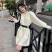 Autumn Winter Petite Waist-Cinching Internet Celebrity Korean Style Unique Thick Knitted Base Layer Sweater Dress_voghion.com