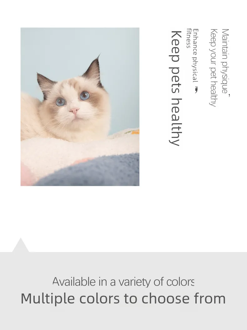 Oreiller pour chat, chien, chat, tapis de couchage, jouet en peluche, fournitures pour animaux de compagnie, vente en gros_voghion.com