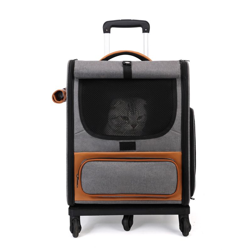 Box Breathable Foldable Cat Large Capacity Two Cats Out Portable Travel Pet Trolley Bag_voghion.com