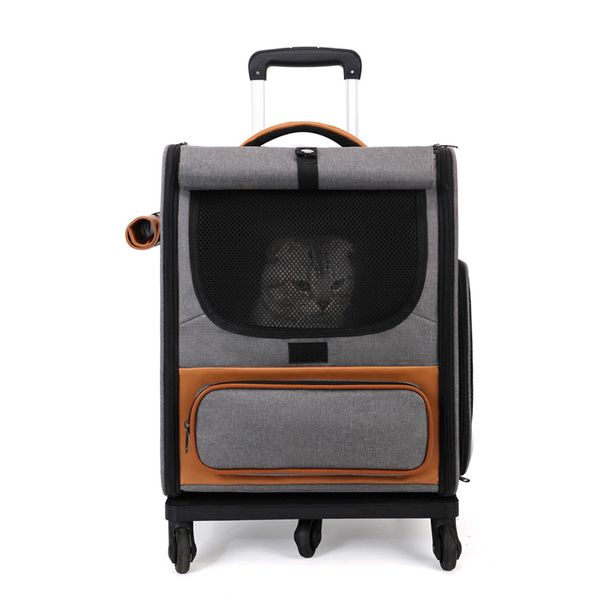 Box Breathable Foldable Cat Large Capacity Two Cats Out Portable Travel Pet Trolley Bag_voghion.com