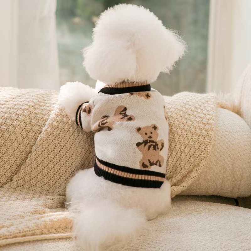 Pull pour animaux de compagnie, automne-hiver, chaud, imprimé complet, mignon, ours, tricoté, chat, petit chien_voghion.com