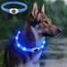 COOYOMOO LED Dog Collar By PawParty Store_voghion.com