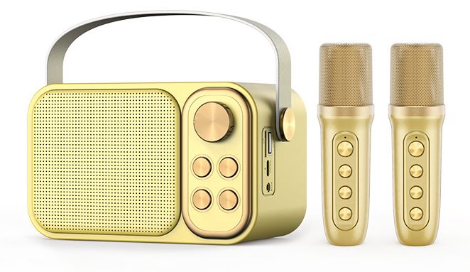 Karaoke automat se 2 mikrofony, mini karaoke systém se 7 hlasovými efekty, přenosný Bluetooth karaoke reproduktor pro děti i dospělé_voghion.com