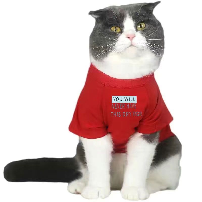 Sommer-Poloshirt für Hunde, Welpenkleidung, Bichon Frise, Chihuahua, gestreiftes Hunde-Sweatshirt, Hundekühlweste für kleine und mittelgroße Hunde_voghion.com