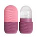 Makeup Tools & Accessories Makeup Tool Kits Silicone Face Pack Ice Tray Beauty Ice Mold To Remove Swelling Ice Roller Face Ice Pack Massage Tool Spot_voghion.com