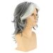 Synthetic Clip-in Men's Wig Middle Part Gray And White Mixed Color Highlight Medium Long Curly Wig Headpiece Natural Fluffy_voghion.com
