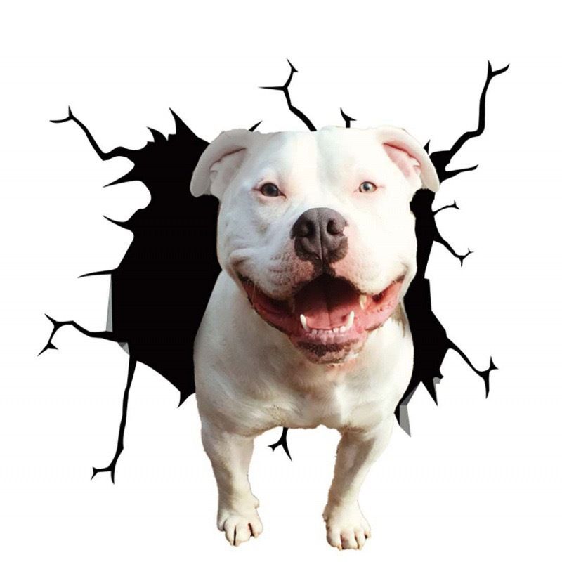 Pegatinas de vidrio personalizadas para coche perforadas con animales en la pared, creativas y agrietadas, pegatinas para perros_voghion.com