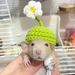 Hamster Knitted Animal Mouse Mini Bearded Dragon Pet Snake Reptile Small Hat_voghion.com