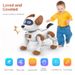 RC Robots Intelligente Robot Hond Programmering Afstandsbediening Interactieve Stunts Handstand Muziek Dans Kinderhond_voghion.com