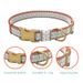 Conjunto de coleira para animais de estimação com fivela de metal gravada e estilo étnico boêmio, mais vendido_voghion.com