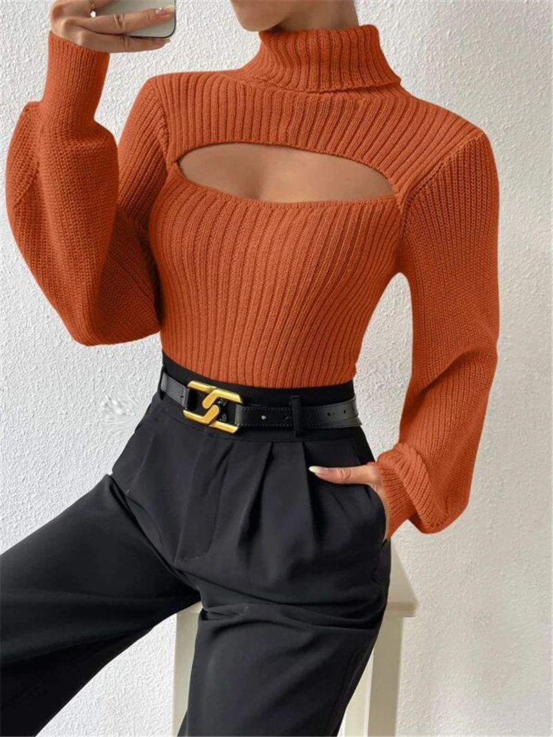 Women's Clothing Autumn and Winter Sweaters Sexy Loose and Versatile Sweaters Turtleneck Hollow Sweaters Outerwear Tops for Women_voghion.com