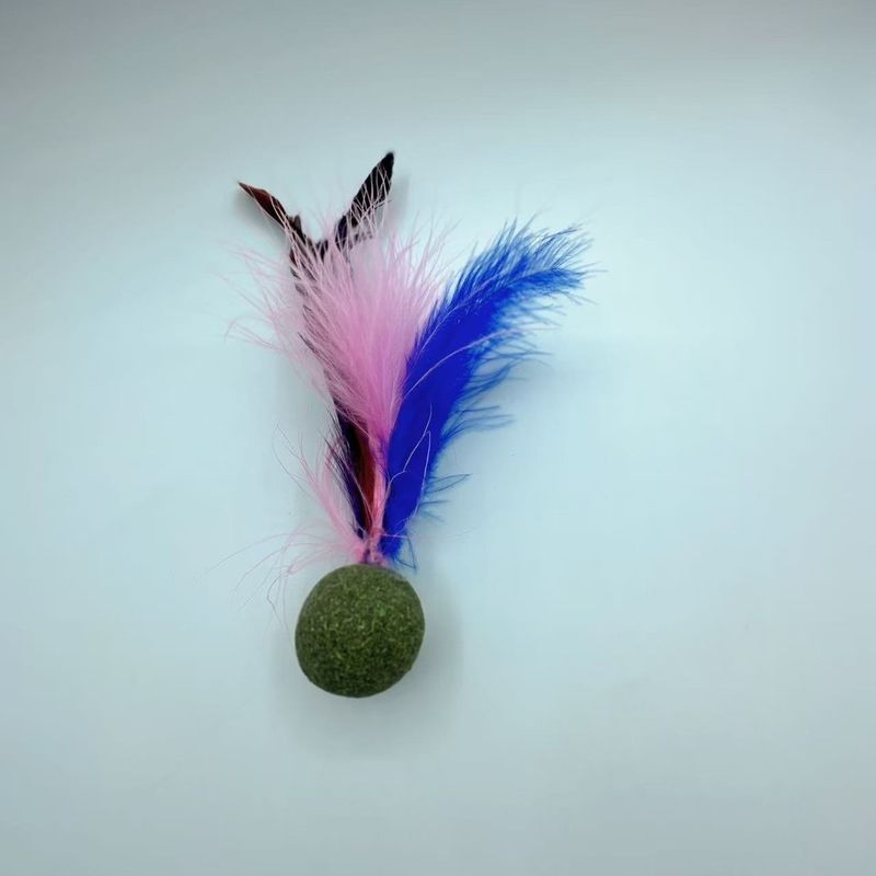 Toy Cat Loves 3cm Catnip Feather_voghion.com