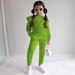 Kid's Clothing Autumn Leisure Sports New Long Sleeved Solid Color Sweater Suit Ins_voghion.com