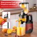 800W Slow Juicer - Multifunctional Household Extractor With Pulp Separation, EU Standard_voghion.com