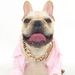 Gold Chain For Medium-sized Dog By PawParty Store_voghion.com