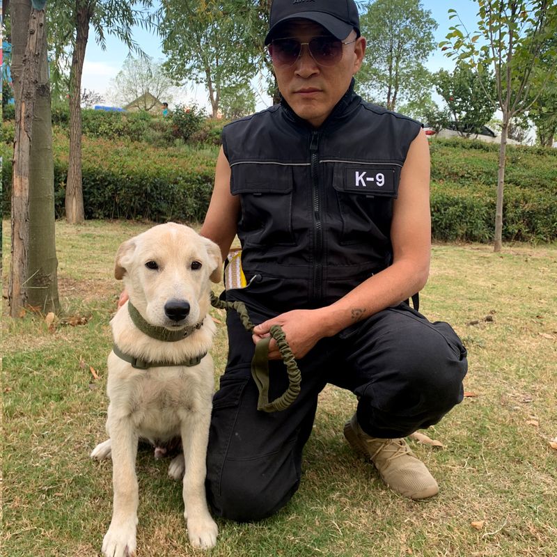 K9 Malinois Deutscher Schäferhund Arbeitsanzug Anti-Kratz-Kleidung Weste Kleidung Hundeausrüstung Trainingsbedarf_voghion.com