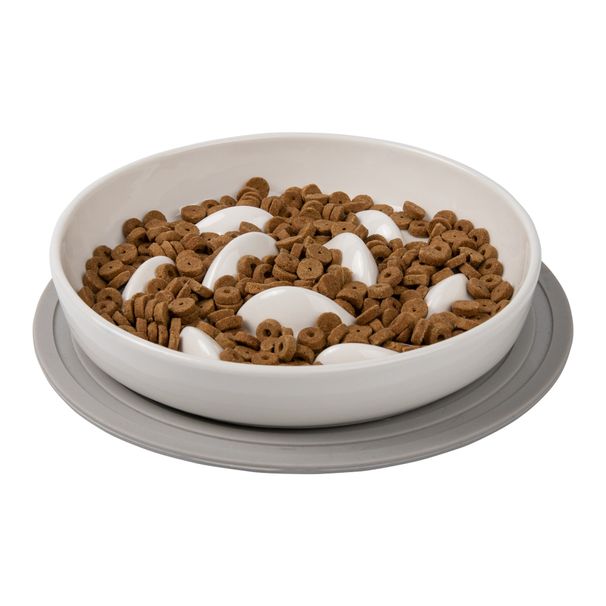 Futternapf aus Silikon und Keramik mit Anti-Erstickungs-Funktion, geeignet für Katzen und Goldfische_voghion.com