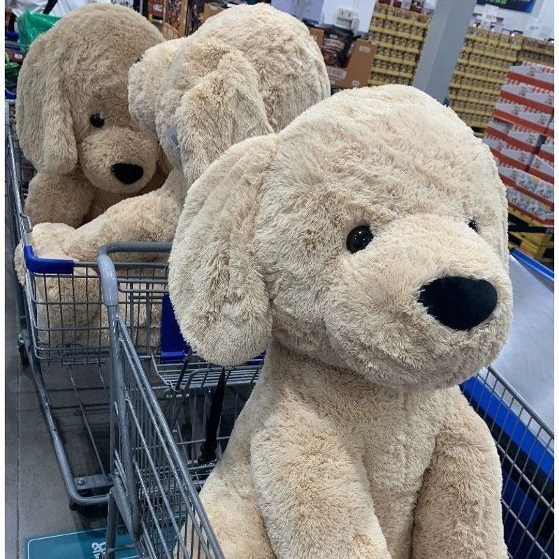 Sam's Super Datong koer kuldne retriiver plush mänguasi nukk suur karu magav kinketüdruk_voghion.com