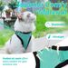 Katzengeschirr und Leine zum Spazierengehen, ausbruchsicheres, weiches, verstellbares Westengeschirr für Katzen, EasyControl_voghion.com