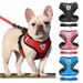 Hundezubehör, atmungsaktives Netz, Geschirr- und Leinenset für Welpen, Katzen, Weste für kleine Hunde, Chihuahua Arnes Para Perro von PawParty Store_voghion.com
