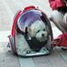 New Backpack Transparent Expandable Space Breathable Cat Outdoor Portable Double Shoulder Small Dog Bag_voghion.com