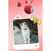 Pet Toy Cat Puppy Boredom Relief Automatic Rolling Electric Smart Walking Teaser Dog Artifact_voghion.com