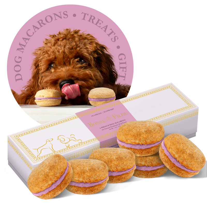 Dog Macarons - Count of 6 (Dog Treats | Dog Gifts)_voghion.com