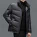 Men’s Winter Shearling Leather Jacket – Thickened Down Coat With Relaxed Fit (Black/Gray, M-4XL, Windproof & Wrinkle-Free)_voghion.com