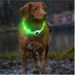 COOYOMOO LED Dog Collar By PawParty Store_voghion.com