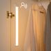 Smart LED Human Body Sensor Wireless Charging No Wiring Needed For Wardrobe Cabinet Entrance Hallway Bedside Night Light_voghion.com