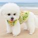 Spring And Summer Pet Puppy Vest Teddy Bichon Pomeranian Small Cute 3D Dog Clothes_voghion.com