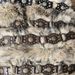 Punk Western Faux Fur Belt With Studs - Y2K Vintage Cowboy Chic Belt For Bold Fashion Statements_voghion.com