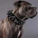 Rivet Grote Bulldog Dominante Halsband Anti-Bijt Bully Hondbenodigdheden Huisdier_voghion.com
