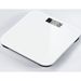 Large Panel Electronic Fat Body Home Weight Loss Scale Dormitory Student Smart Precision_voghion.com