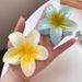 Clipe de cabelo unissex estilo resort, flor de doce, frangipani, praia, gradiente, grampo de cabelo, parte de trás da cabeça, tubarão_voghion.com