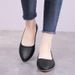 Autumn Essentials Women's Pointed-toe Ballet Flats_voghion.com