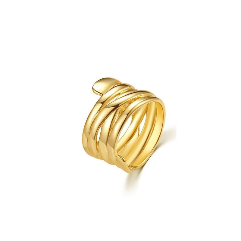 for Women High-End Feel Women's Open Jewelry Style Niche Design Exaggerated Ring Set_voghion.com