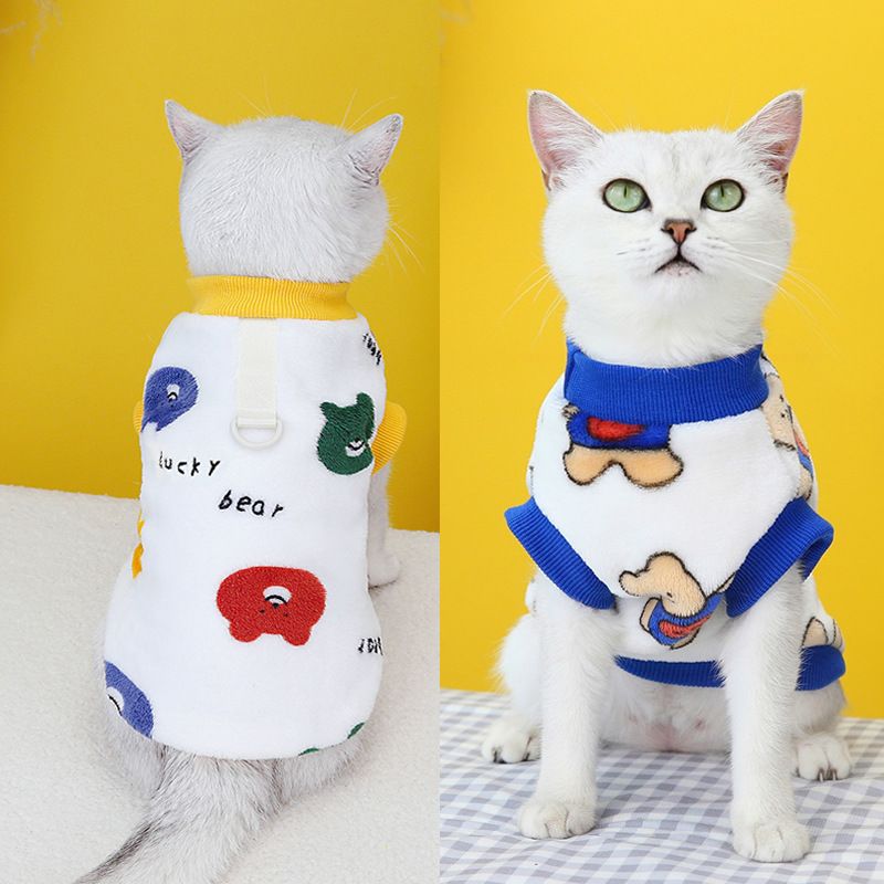 Haustierkleidung, kleine blaue Katzenkleidung, neue Herbst- und Winterkollektion, 23 Kleidungsarten aus Samt mit Cartoon-Bären_voghion.com