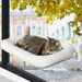 Glass Window Bed Sunbathing Suction Cup Cat Hammock Pet Nest_voghion.com