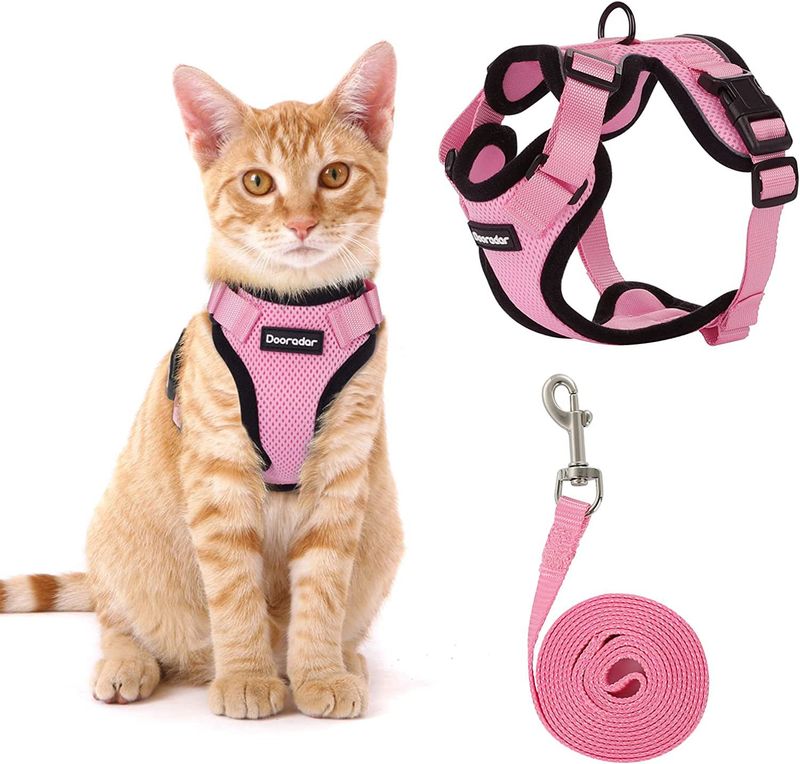 Pet Products Cat Traction Rope Anti Breakaway Adjustable Cat Traction Rope Cat Walking Rope Vest Pet Chest Harness Summer Ultra Thin_voghion.com