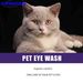 Σετ υγρών καθαρισμού ματιών κατοικίδιων 1 τεμαχίου για την υγεία των ματιών γάτας και σκύλου - Αποτελεσματικό και ασφαλές καθαριστικό ματιών για κατοικίδια_voghion.com