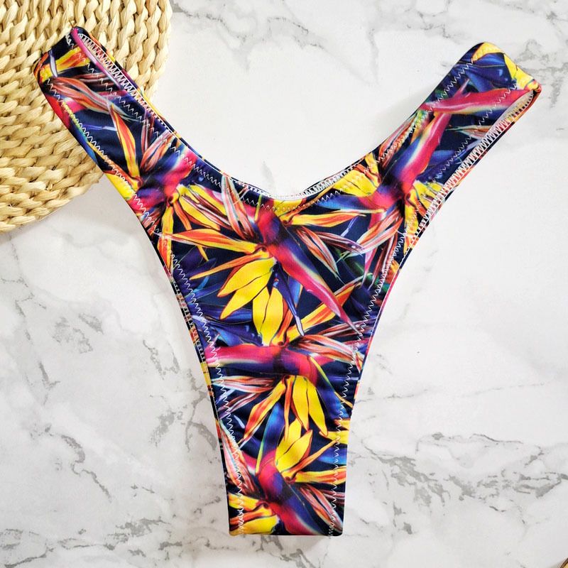 New Printed Women's Sexy Two-Piece Bikini Brazilian Hot Spring V-String Swim Bottoms_voghion.com