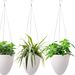 Garden Supplies Lazy D Hanging Plant Pot Automatic Water Absorption Frosted Decorative Hanging Flower Pot Plastic Water Storage Flower Pot_voghion.com
