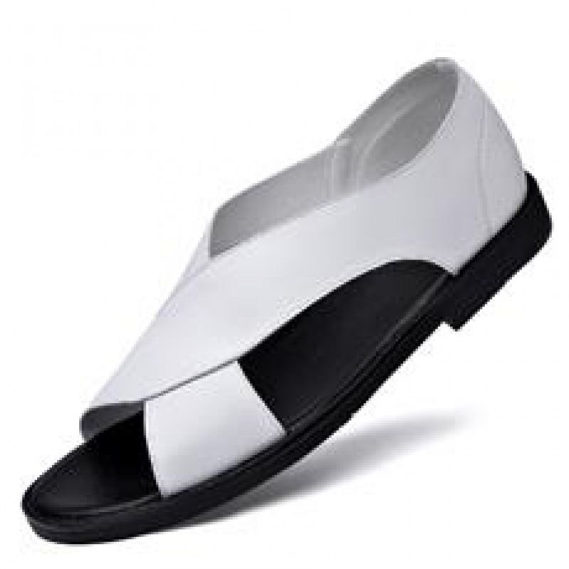 Ongeëvenaarde kwaliteit nieuwe leren sandalen, nieuwe casual zomerse bovenkleding voor heren met Romeinse zachte zolen, antislip strandschoenen, buiten_voghion.com