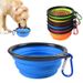 Foldable Silicone Bowl For Dogs And Cats By PawParty Store_voghion.com