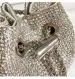 Rhies Dia Evening Clutch Designer Metal Ring Borsa da donna Borsa da sposa Borsa a secchiello Borsa a tracolla_voghion.com