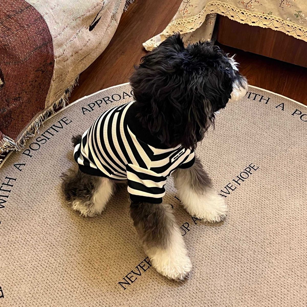 Spring And Autumn Dog Cold-Proof Stylish High-End Gentleman Style New Schnauzer Teddy Bichon Cat Clothes_voghion.com