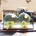 Keychain Broccoli Plush Adorable Cute And Soft Vegetable Toy Bag Charm_voghion.com