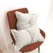 Home Furniture Washed Cotton Pillowcase Without Core Modern Simple Living Room Sofa Pillow Cushion Cover_voghion.com